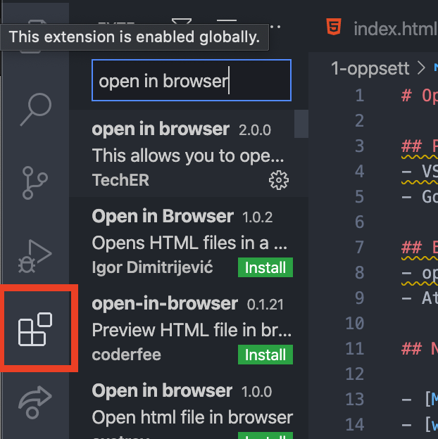 Extensions i VS Code